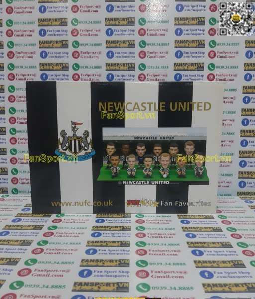 Box Newcastle United 2003-2004 home Fan Favorite limited figures
