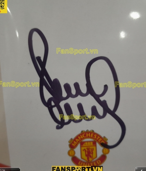 Ảnh chữ ký Paul Scholes Manchester United 2007 2009 home signed hand