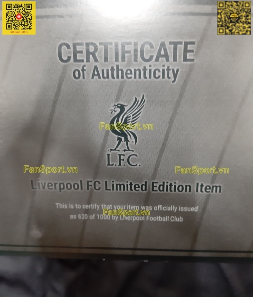Box Liverpool Premier League Champions 19-20 blackout jersey shirt set