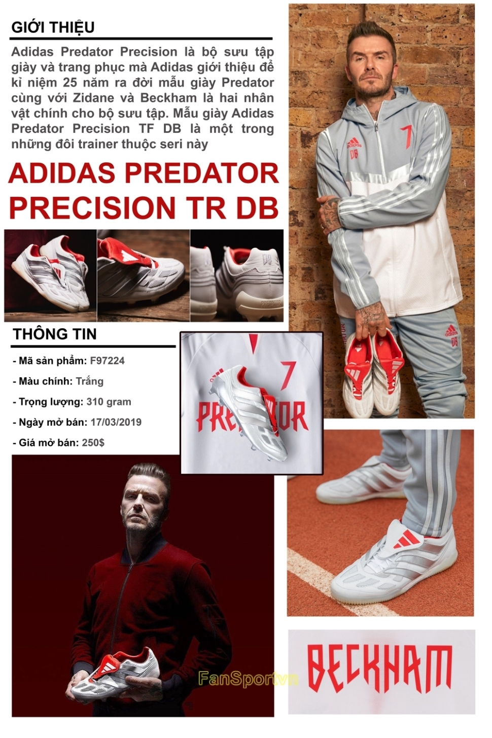 Giày David Beckham Predator Precision TR Adidas F97224 DB shoes white